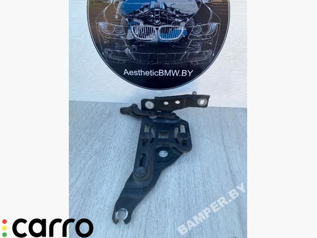 петля капота левая BMW X5 E70 2007, 3.0 л., дизель, АКПП, внедорожник 5 дв., 7148347 - фото №1
