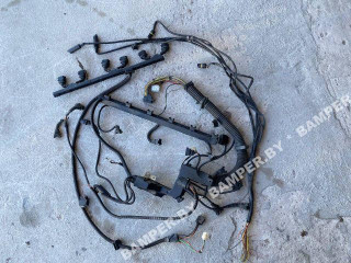 проводка двигателя BMW 3 серия E46 1999, 2.5 л., бензин, МКПП, купе