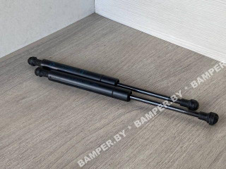 амортизатор капота BMW X5 E53 [рестайлинг] 2005, 3.0 л., бензин, АКПП, внедорожник 5 дв., 51238402551, 8402551