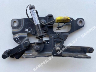 петля капота правая BMW 2011, 2.5 л., дизель, АКПП, универсал, 7249888