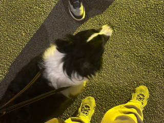 Bluetooth антенна  1988, 10055910