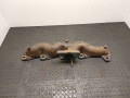 коллектор выпускной Nissan Almera N16 2001, 2.2 л., YD22DDT, дизель, МКПП, хетчбэк 5 дв., 5M300 - фото №8