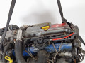 двигатель Opel Astra G 2000, 2.0 л., X 20 DTL, дизель, МКПП, хетчбэк 5 дв., X20DTL - фото №5