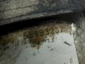насос вакуумный Opel Corsa C 2003, 1.3 л., CDTi, 55193232 - фото №5