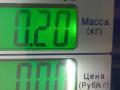 патрубок радиатора Saab 9-3 1 поколение 2000, 2.2 л., DTi, 24435262 - фото №4