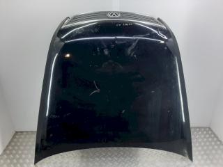 капот Volkswagen Phaeton 1 поколение 2006, -