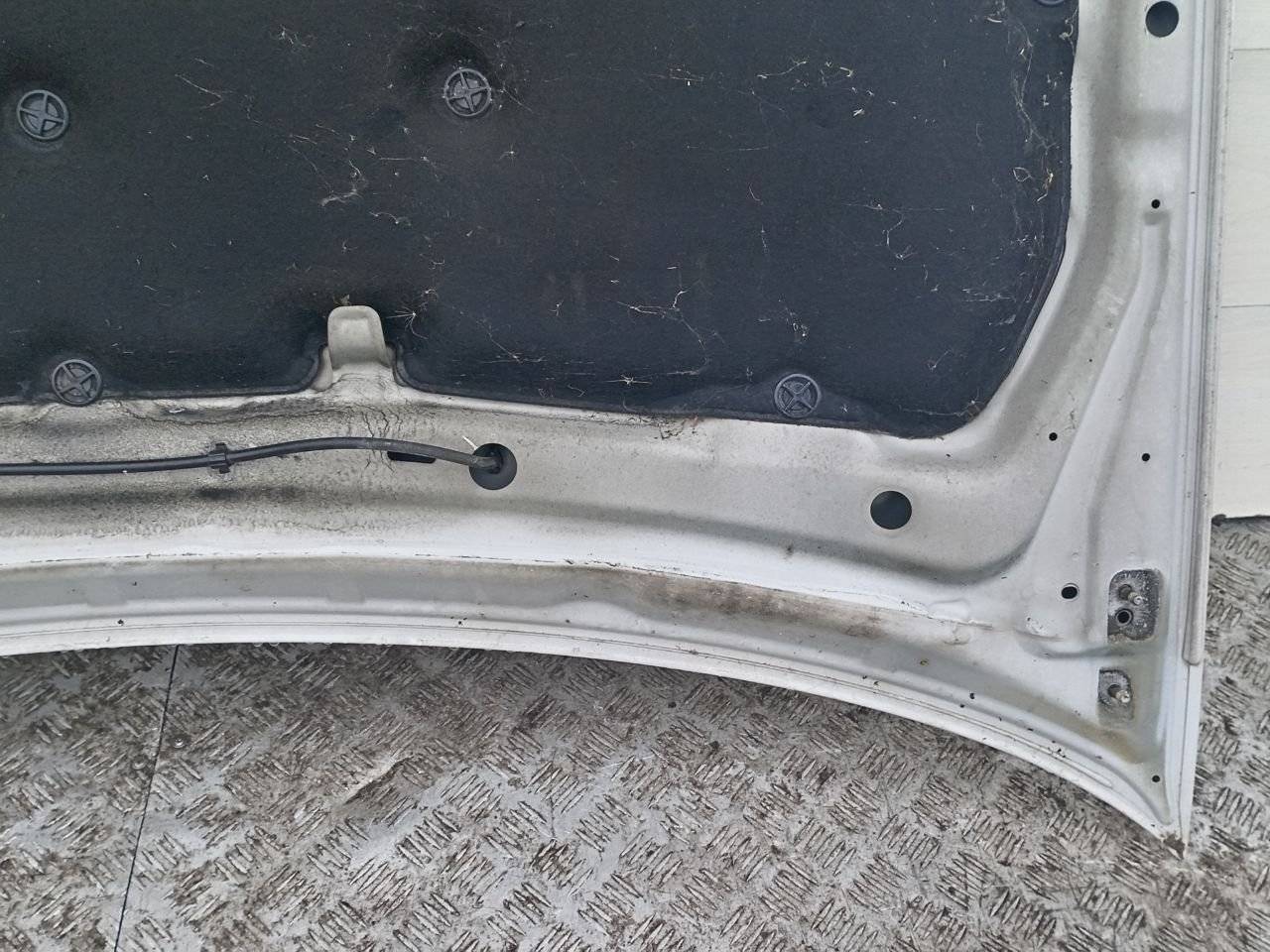 капот Nissan Almera Tino V10 2001 - фото №1