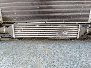 интеркулер Fiat Punto 3 поколение [2-й рестайлинг] 2015, 1.3 л., JTD, дизель, хетчбэк 5 дв.