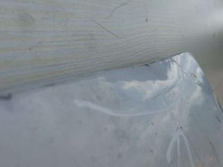 дверь сдвижная Renault Trafic 2 поколение [рестайлинг] 2011