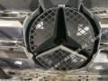 решетка радиатора Mercedes-Benz A-Класс W169 [рестайлинг] 2009 - фото №2