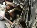 двигатель Citroen C4 Picasso 1 поколение 2007, 2.0 л., дизель, RHJ, 10DYUR - фото №8