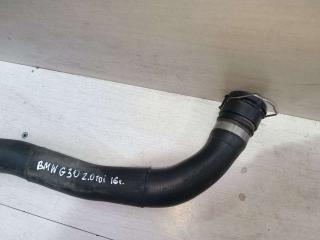 патрубок радиатора BMW 5 серия G30/G31 2016, 2.0 л., TDi, дизель, 1712851405008