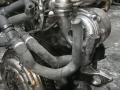 двигатель Renault Clio 3 поколение 2007, DCi, DCi, K9KN764 - фото №6