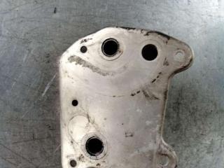 радиатор масляный Mercedes-Benz C-Класс W203/S203/CL203 2000, 2.2 л., дизель, седан