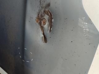 капот Toyota Auris 1 поколение 2008