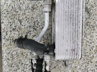 радиатор масляный Jaguar S-Type 1 поколение [рестайлинг] 2005, 2.7 л., TD, дизель, седан