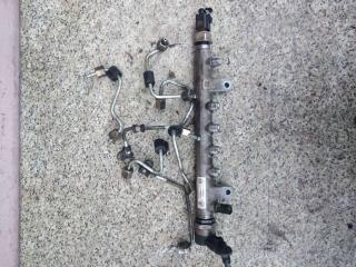 топливная рампа Volkswagen Golf 5 поколение 2009, TDi, TDi, хетчбэк 5 дв.