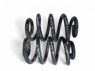 пружина передняя Renault Master 3 поколение 2014