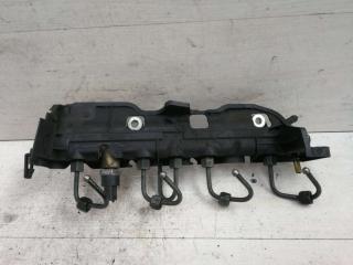 топливная рампа Renault Scenic 2 поколение 2005, DCi, DCi