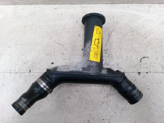 маслозаливная горловина Peugeot Expert 1 поколение 2003, 2.0 л., HDi, дизель