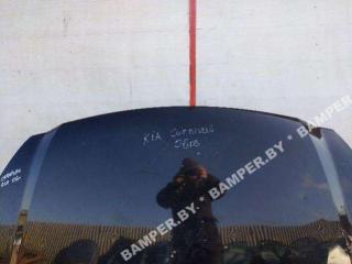 капот Kia Carnival 1 поколение [рестайлинг] 2006