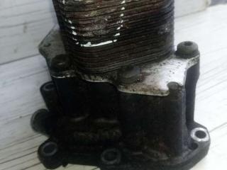 корпус масляного фильтра Citroen Berlingo 1 поколение (M59) [рестайлинг] 2008, 1.6 л., HDi, дизель, фургон