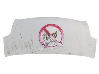 капот Renault Master 2 поколение [рестайлинг] 2007