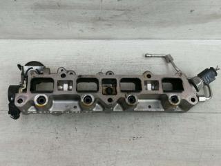 топливная рампа Volkswagen Golf Plus 1 поколение 2007, TSI, TSI