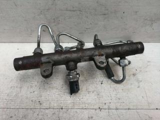 топливная рампа Renault Scenic 2 поколение 2006, DCi, DCi