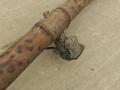 Выхлоп глушитель Audi Q8 4M 2022, 3.0 л., TDi, дизель, АКПП, 2y / s9r, полный привод, правый руль, 4M4253611G - фото №12