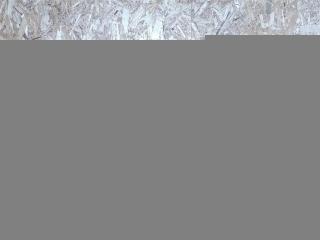 шторка багажника Audi A4 B8/8K [рестайлинг] 2011, 3.0 л., TDi, дизель, АКПП, передний привод, 8K9863553, 8K9863553, 8K9863553B