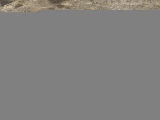 кронштейн (крепление) Audi R8 42 420 2008, 4.2 л., TFSI, BYH, бензин, АКПП, купе, передний привод, 420035545, 420035545, 420035545A