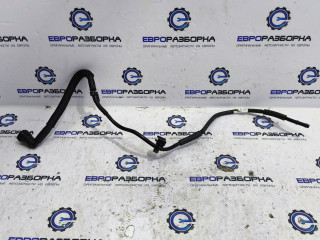 трубка вакуумная Bentley Continental GT 3 поколение 2023, 4.0 л., CVD, бензин, АКПП, 63 / o31 красный, купе, полный привод, правый руль, 3SA145739C