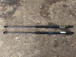 амортизатор капота Bentley Continental GT 2 поколение 2015, 4.0 л., TFSI, бензин, АКПП, передний привод, 3W0823475C, 3W0823475D, 3W0823475E