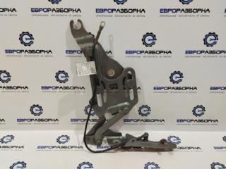 петля капота правая BMW X6 E71 [рестайлинг] E71 2013, 3.0 л., бензин, АКПП, передний привод, 7148348, 41007198618, 41617208630, 51237148348