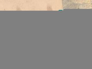 обшивка салона Mercedes-Benz CLS-Класс C218/X218 W218 2013, 3.0 л., CDi, дизель, АКПП, передний привод, 72340930, 72340930