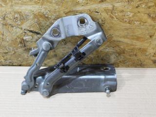 петля капота Land Rover Discovery Sport 1 поколение L550 2016, 2.0 л., дизель, АКПП, передний привод, LR075405, FK7216800AE, LR075405