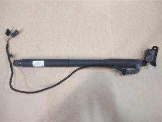 активатор замка багажника BMW X5 E70 [рестайлинг] E70 2011, 3.0 л., дизель, АКПП, передний привод, 51247286116, 51244887652, 51247172060, 51247294588, 51247332696