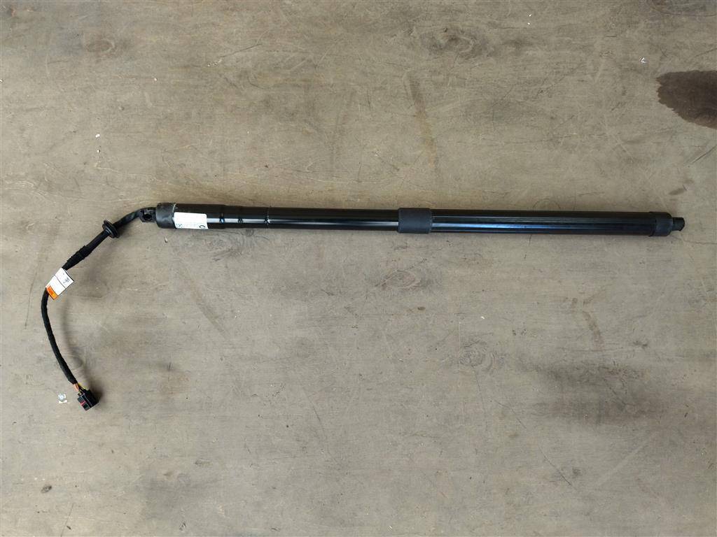 амортизатор крышки багажника (3-5 двери) Land Rover Range Rover Sport 2 поколение L494 2017, 3.0 л., дизель, АКПП, передний привод, LR044161, CPLA70354BE, CPLA70354BF, CPLA70354BG, LR104909, LR126173, LR159597, LR165919, LR044161, CPLA70354BD - фото №1