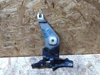 петля капота BMW X6 E71/E72 E71 2011, 3.0 л., D, N57 D30 B, дизель, АКПП, передний привод, 7208627, 7208627