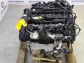 двигатель BMW X3 G01 2019, 2.0 л., B48 B20 A, бензин, АКПП, 475 black-sapphire metallic, полный привод, правый руль, B48B20A, 2458436, 11002458436 - фото №5