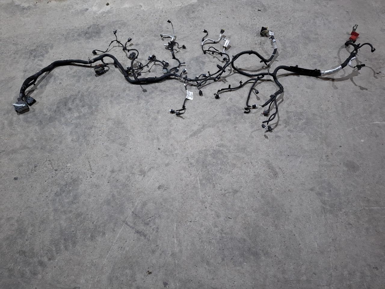 проводка двигателя Ford Escape 4 поколение CX482 2020, 1.6 л., LUB, бензин, АКПП, белый az, внедорожник 5 дв., полный привод, LX6T14305, KU5T-12C508 - фото №1