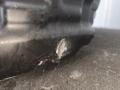 КПП автоматическая (АКПП) Volkswagen Jetta 7 поколение 2019, 1.4 л., бензин, АКПП, белый, седан, передний привод - фото №9