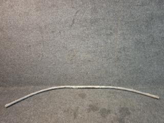 уплотнитель подкапотного пространства Ford Escape 4 поколение CX482 2020, 2.0 л., бензин, АКПП, белый az, внедорожник 5 дв., полный привод