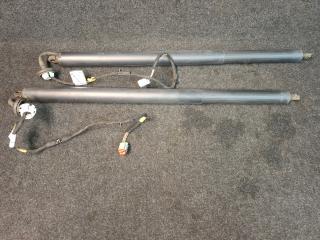 амортизатор крышки багажника (3-5 двери) Ford Escape 4 поколение CX482 2020, 2.0 л., бензин, АКПП, белый az, внедорожник 5 дв., полный привод, JJ6B-S402A55-AB, LJ6B-S402A54-AB