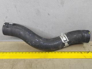 патрубок радиатора Acura Integra 4 поколение 2024, 1.5 л., бензин, АКПП, синий, хетчбэк 5 дв., передний привод