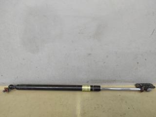 амортизатор капота Subaru Tribeca 1 поколение [рестайлинг] 2013, 3.6 л., EZ36D, бензин, красный, внедорожник 5 дв., полный привод