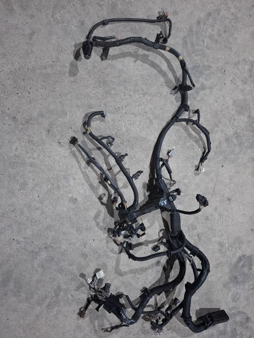 проводка двигателя Toyota Camry 7 поколение XV40 2008, 2.4 л., 2AZ-FE, бензин, АКПП, седан, передний привод - фото №1