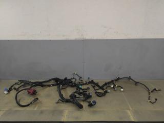 проводка двигателя Suzuki Kizashi 1 поколение 2012, 2.4 л., J24B, бензин, АКПП, красный, седан, полный привод