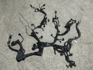 проводка двигателя Lexus UX 1 поколение 2021, 2.0 л., i, бензин, АКПП